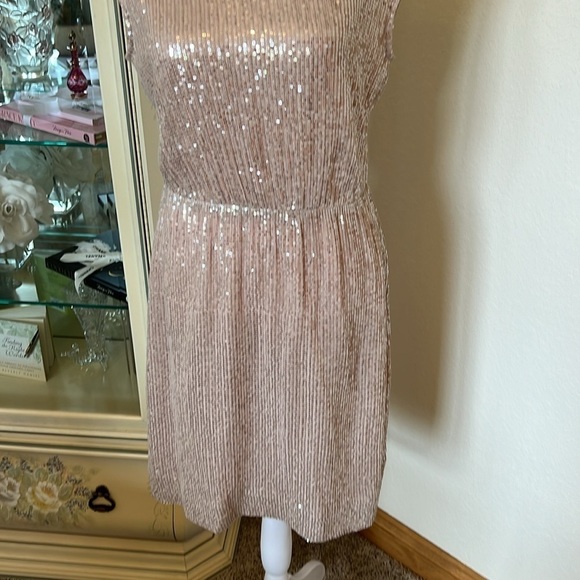 NWOT J. Crew Pale Pink Sequin Dress Size 2 - Picture 3 of 6